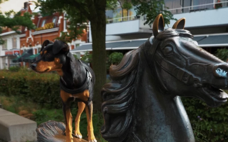 Dierendag Kunstroute